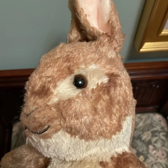 Peter Rabbit Build-A-Bear - Picture 11 of 11